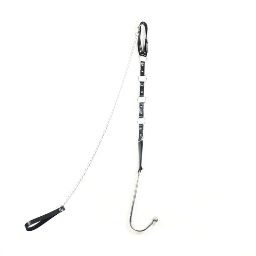 EverydayUse Hook Kinky Leash with Anal 5853 and Collar 1008